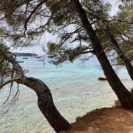 Appartement Centre Croisette Emplacement Exceptionnel Κάννες Εξωτερικό φωτογραφία