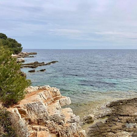 Appartement Centre Croisette Emplacement Exceptionnel Κάννες Εξωτερικό φωτογραφία