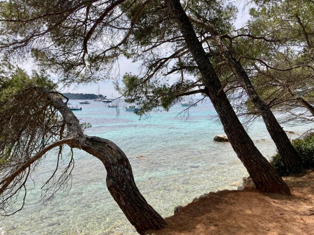 Appartement Centre Croisette Emplacement Exceptionnel Κάννες Εξωτερικό φωτογραφία