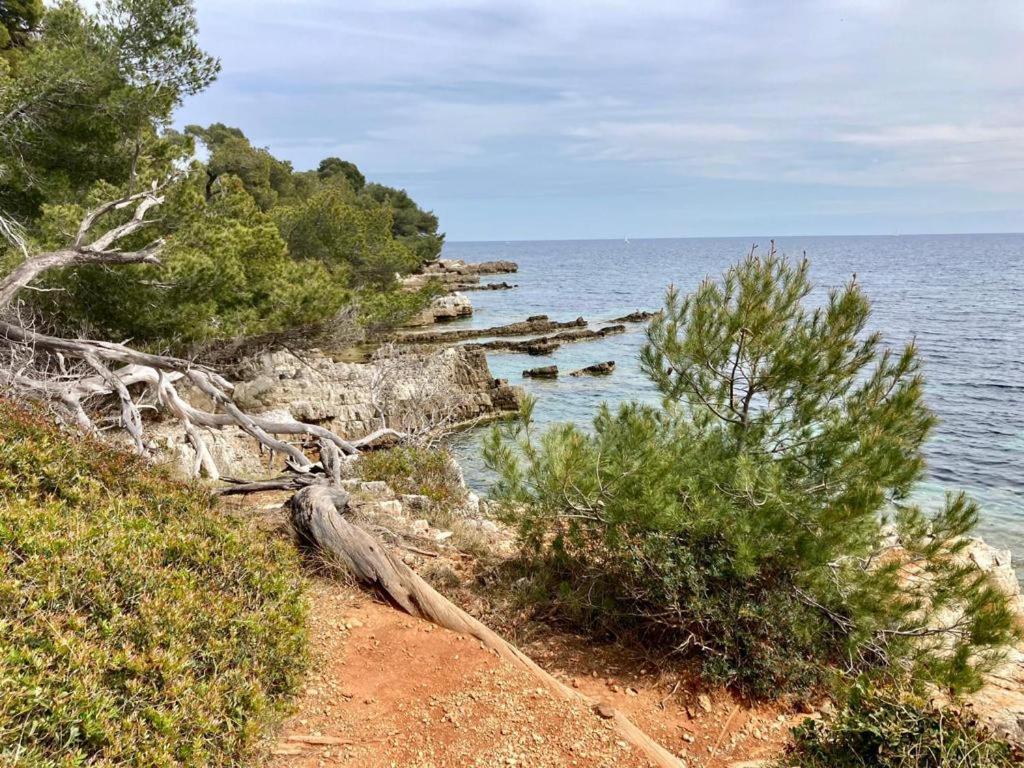 Appartement Centre Croisette Emplacement Exceptionnel Κάννες Εξωτερικό φωτογραφία